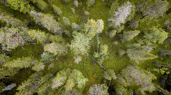 Drone shot