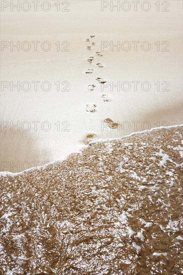 Surf