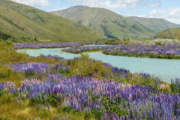 River bed of the Ahuriri River