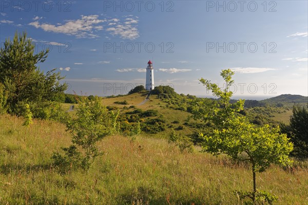 Lighthouse Dornbush on the Schluckwieksberg