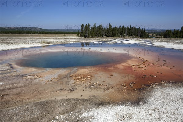Opal Pool