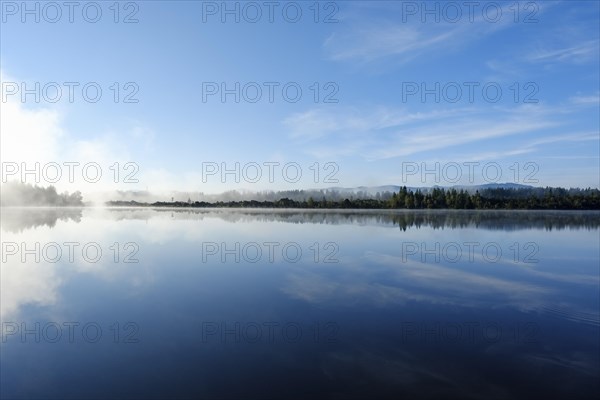 Morgennebel