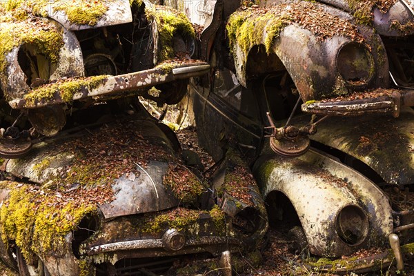 Rusty old vintage cars