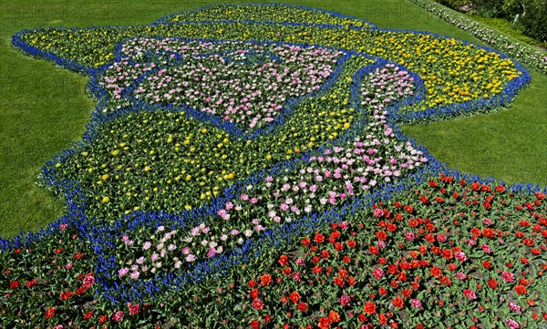 Portrait by Vincent van Gogh from various Dutch tulips