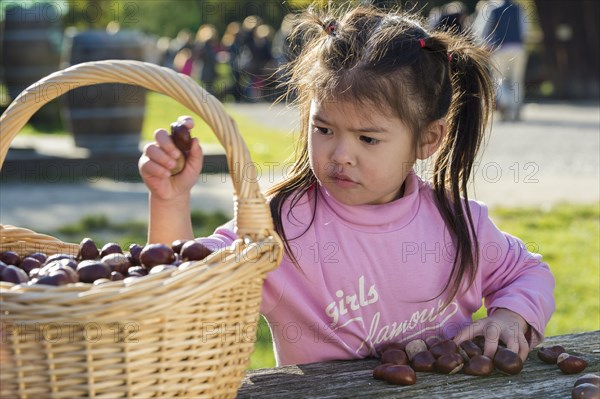 Eurasian girl sitting at wooden table with basket of chestnuts