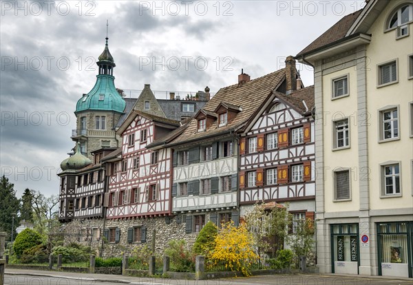 Half-timbered houses in the street