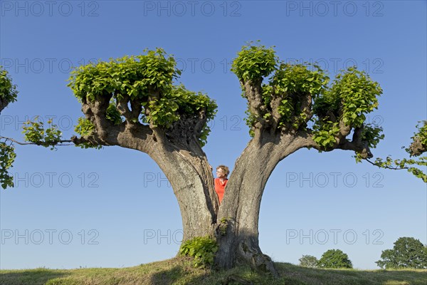 Woman behind lime tree