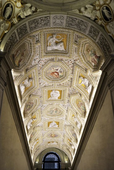 Vaulted ceiling