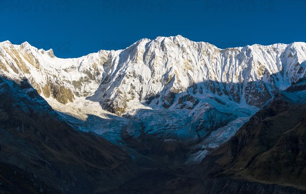 View of the snow covered Annapurna 1 North Face at sunrise