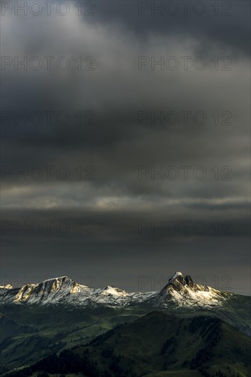 Damulser Horn