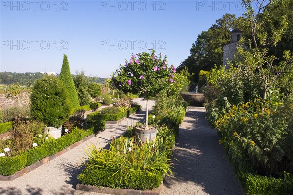 Bastion Garden of Willibaldsburg