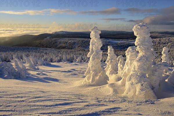 View from the Brocken on forests in winter