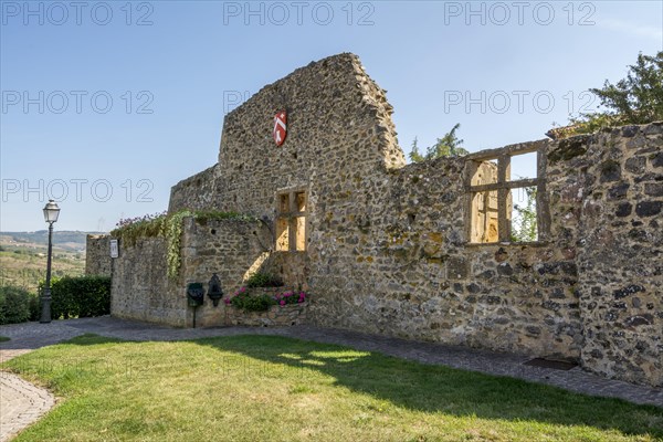 Castle of Ternand