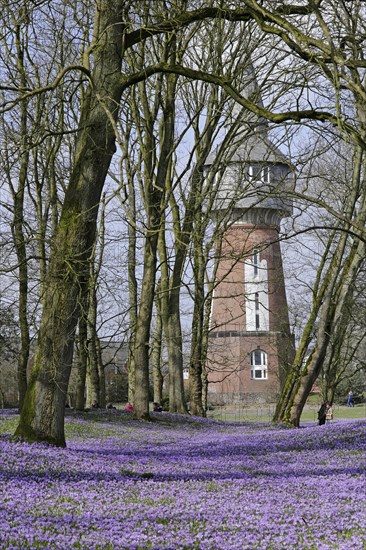 Observation tower