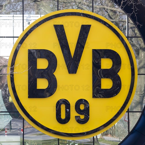 BVB Logo