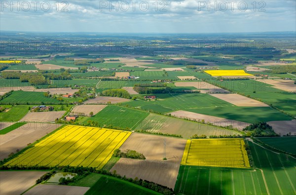 Farming fields and rape fields