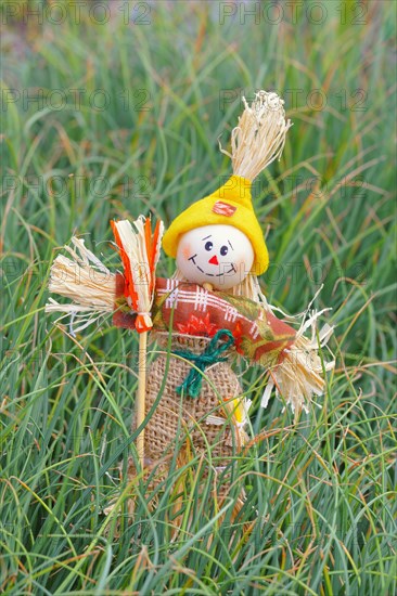 Garden decoration