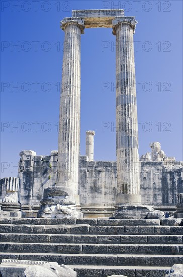 Columns of the Temple of Apollo