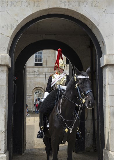 Rider of the Horse Guards