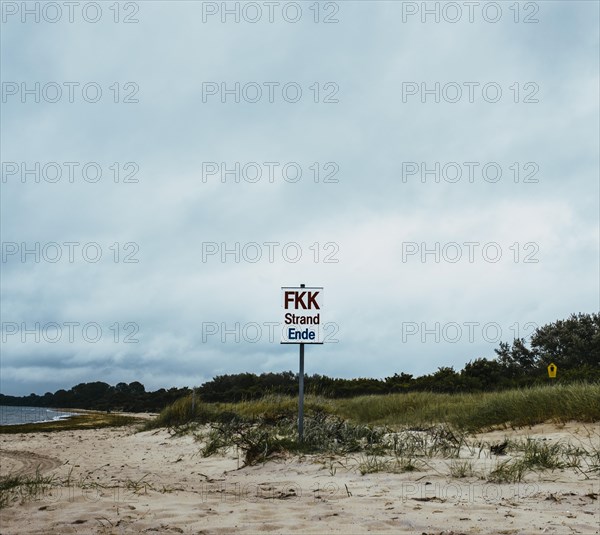 Shield at the beach