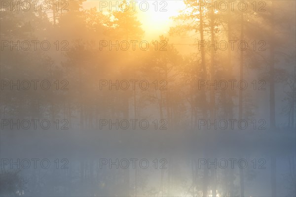 Sunrise in the moor