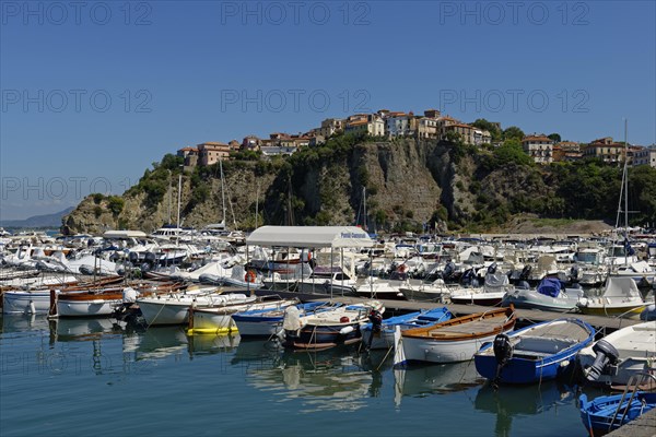 Boats in the harbour