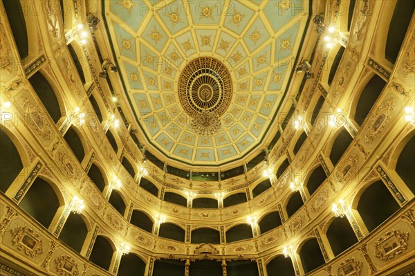 Gold decorated auditorium