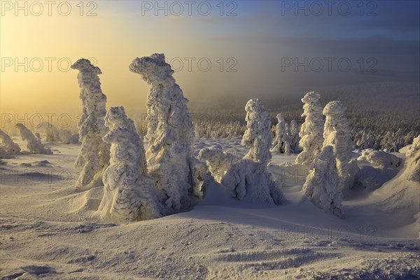 Morning atmosphere on the Brocken
