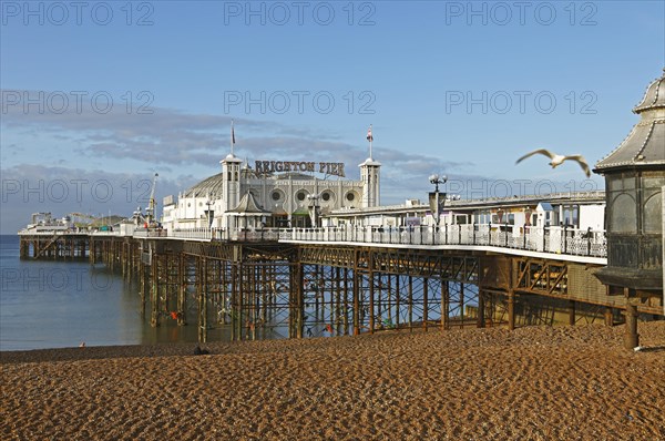 Brighton Palace Pier
