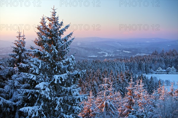 Winter landscape