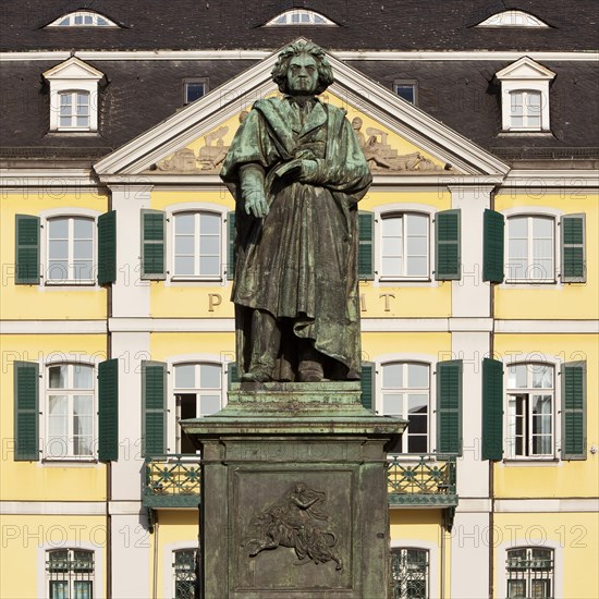 Beethoven monument on Munsterplatz