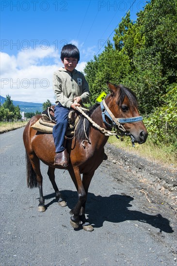 Young boy riding on a horse