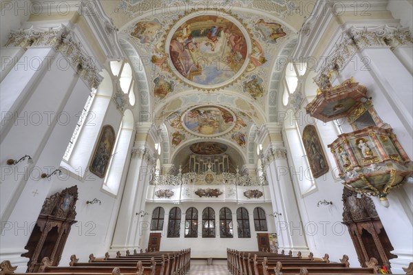 Organ