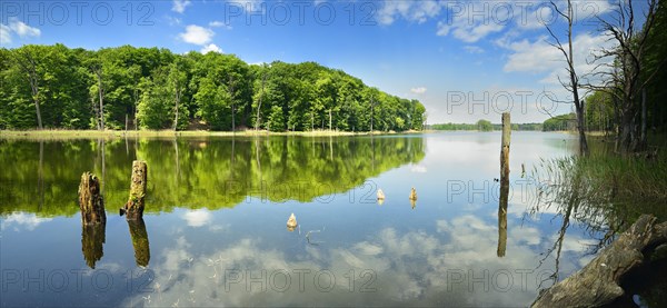 Schweingartensee
