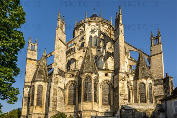 Cathedral Saint Etienne