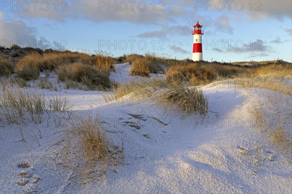 Red and white striped lighthouse List East in the dunes