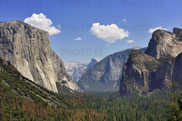 View of the Yosemite Valley