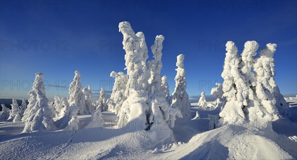 Winter on the Brocken