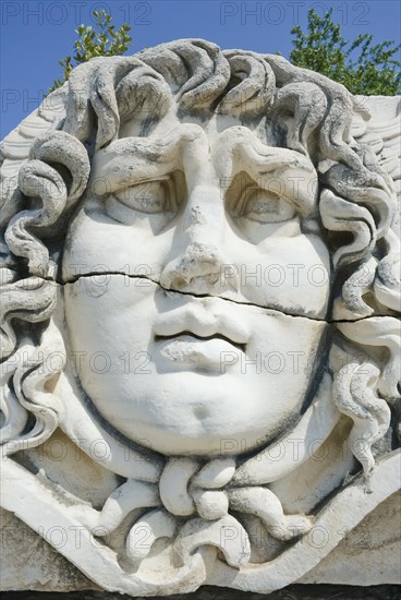 Medusa head