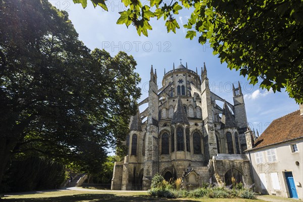 Saint Etienne Cathedral
