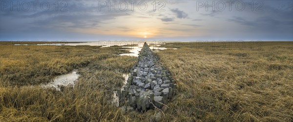 Groyne