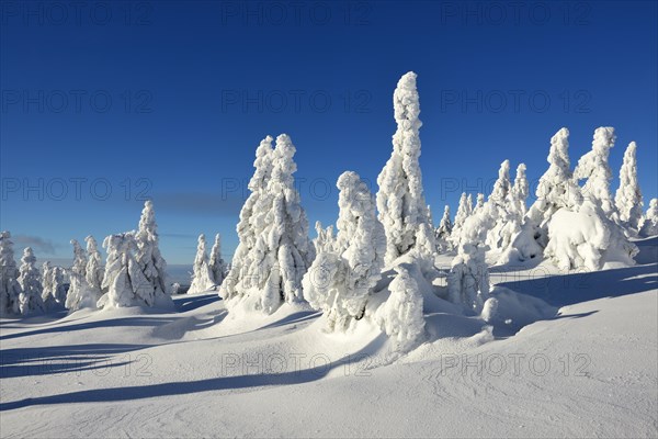 Winter on the Brocken