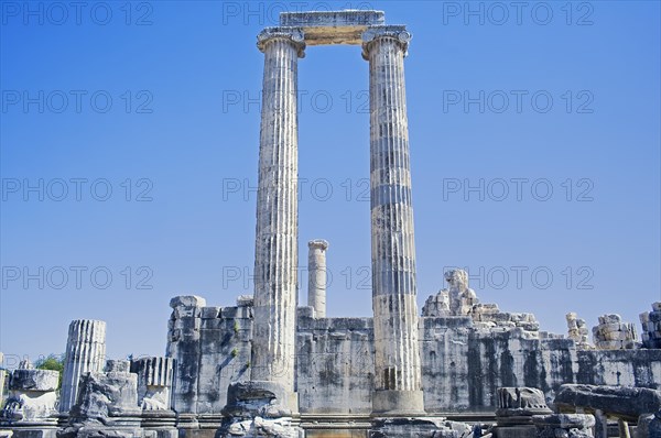 Columns of the Temple of Apollo