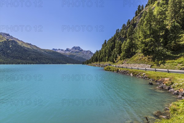 Silvaplana lake