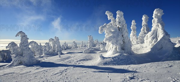Winter on the Brocken