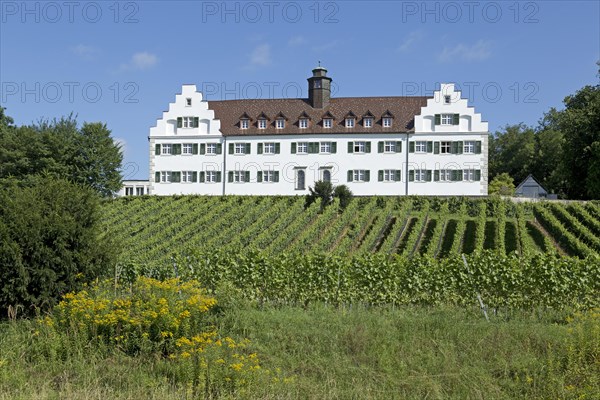 Schloss Hersberg with vineyard