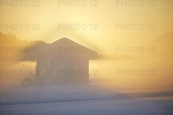 Small cabin