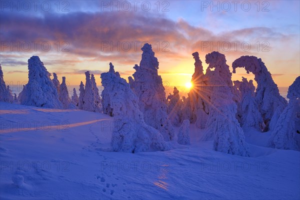 Sunrise on the Brocken
