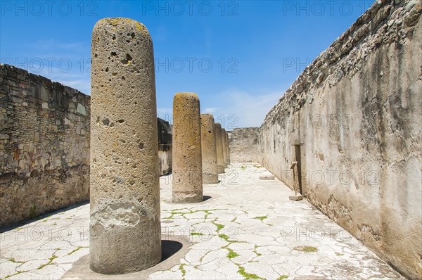 Group of columns