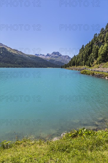 Silvaplana lake